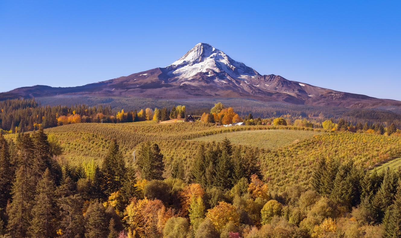 Mt Hood in autumn