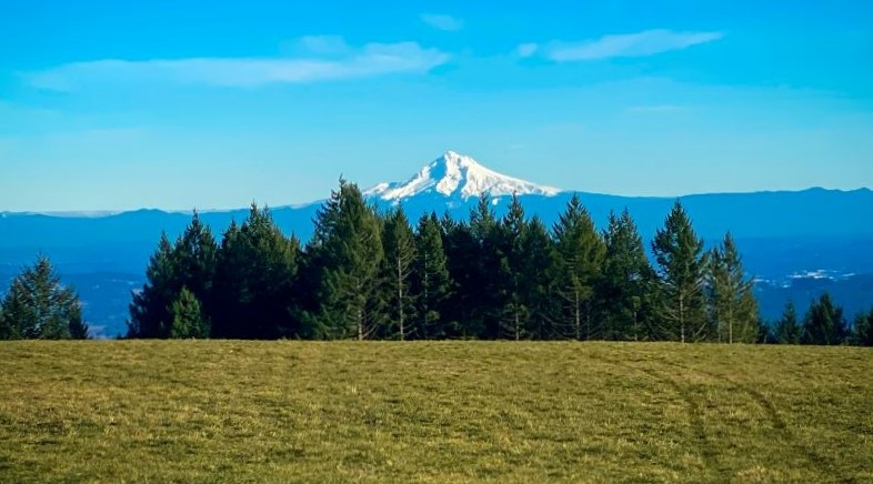 Hillsboro OR