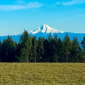 Hillsboro OR Crop 289x289