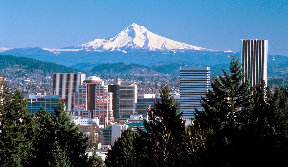PDX Skyline