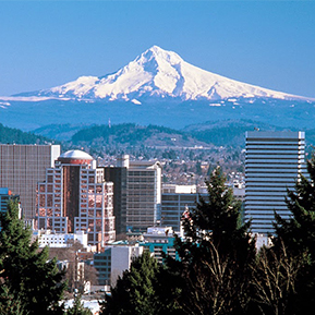 PDX Skyline Crop 289x289